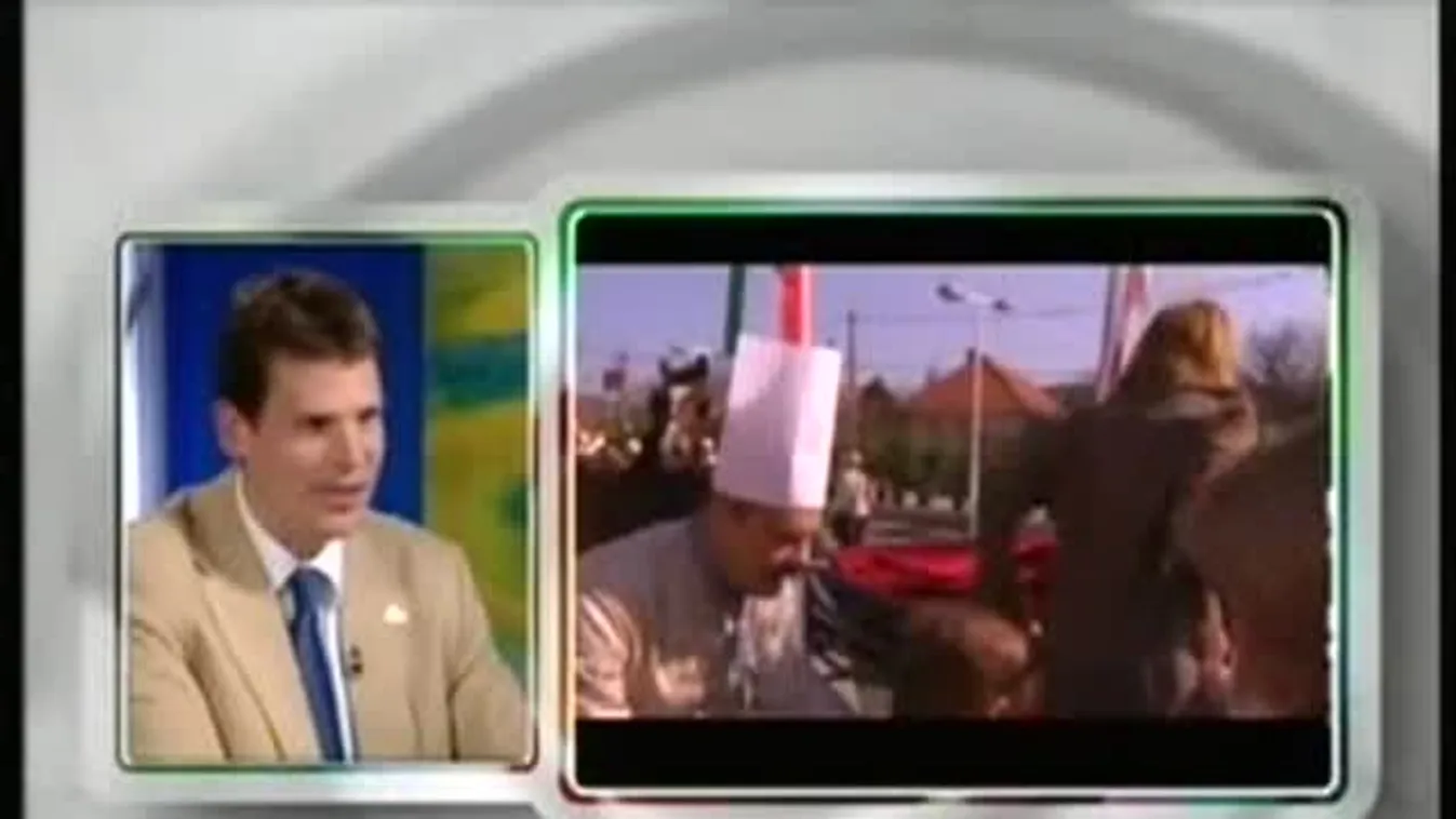 Mediawave 2012 – Paletta