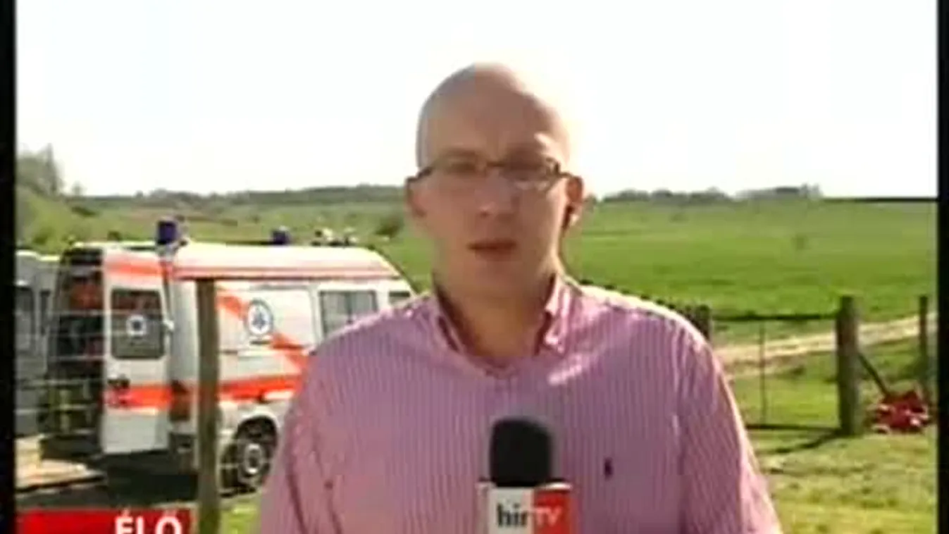 Lecsaptak a méhek Fejér megyében, sokakat kórházban ápolnak