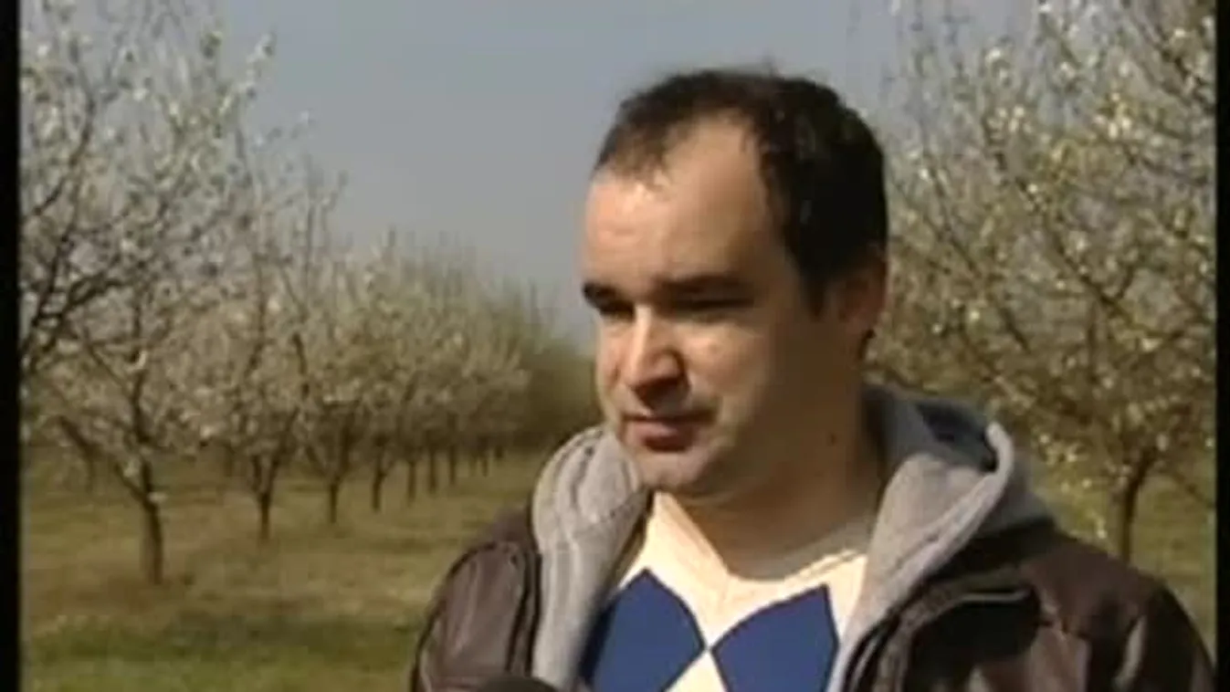 Ezek a húsvéti fagy következményei – Soroló