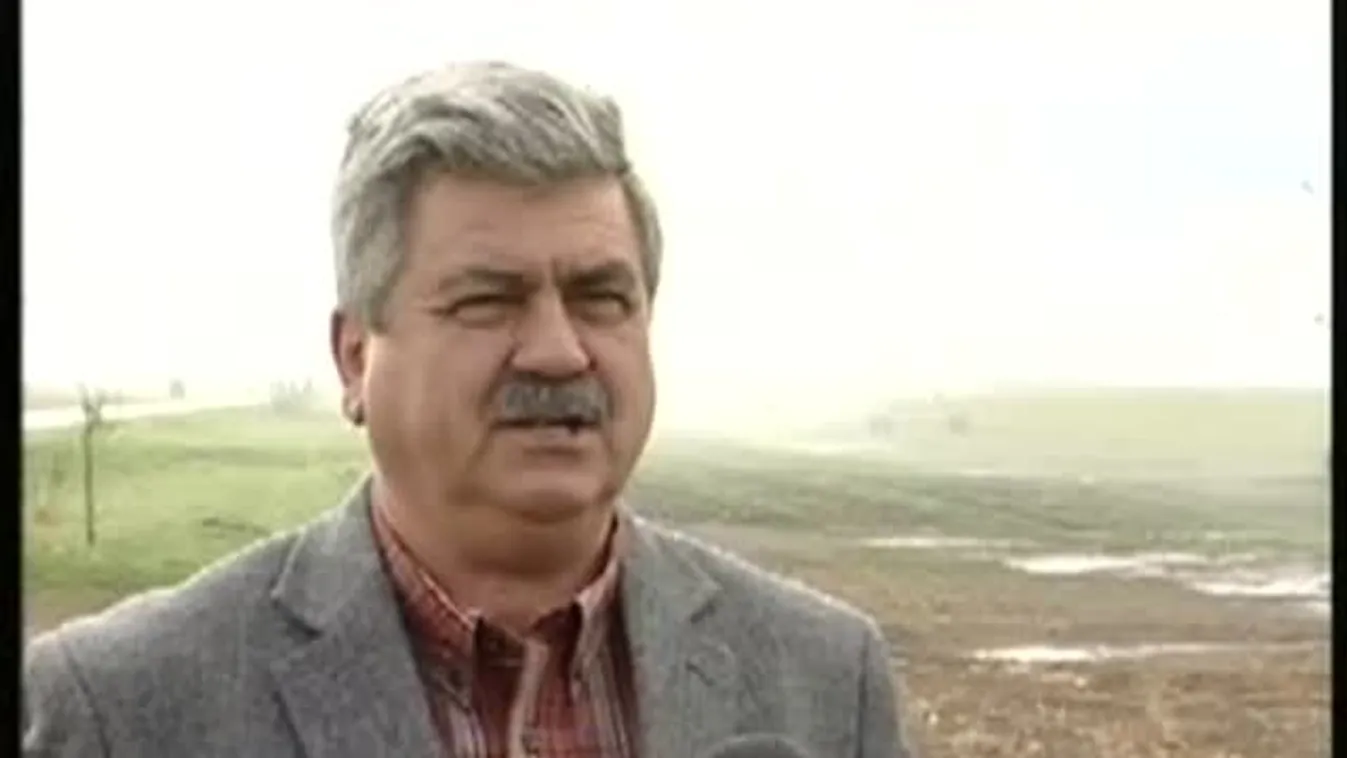 Állatsereglet – Soroló