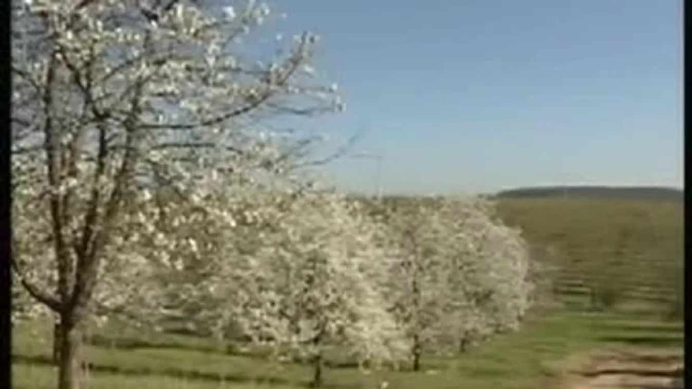 Nem mindenhol semmisítette meg – Soroló