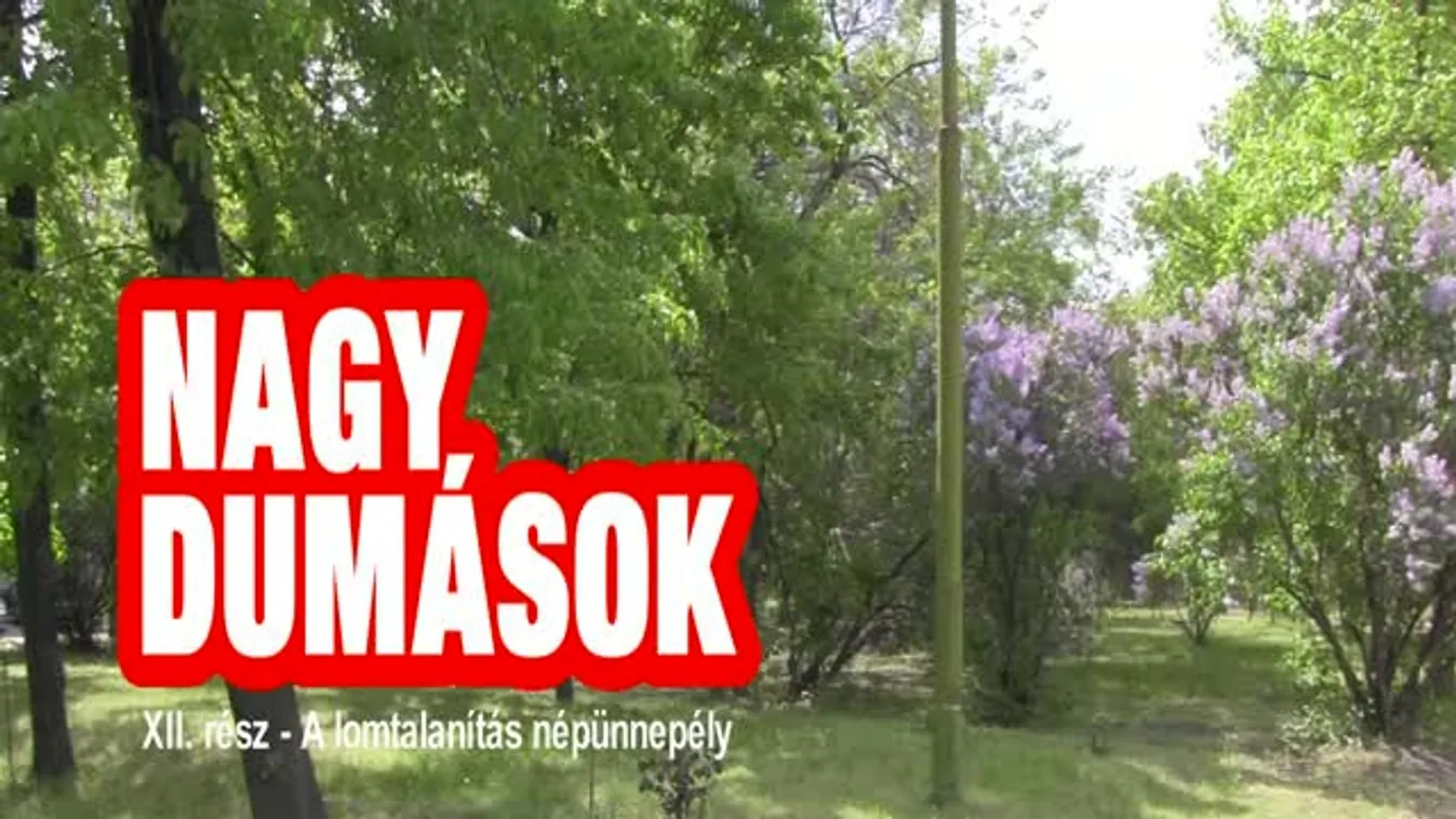 A lomtalanítás népünnepély