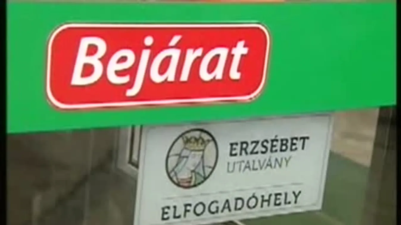Készpénz helyett étkezési csekk – Keresztmetszet