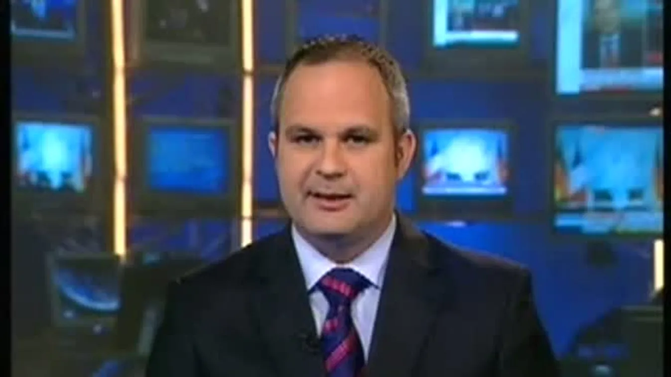 Lemondott a plágiumgyanúba keveredett politikus