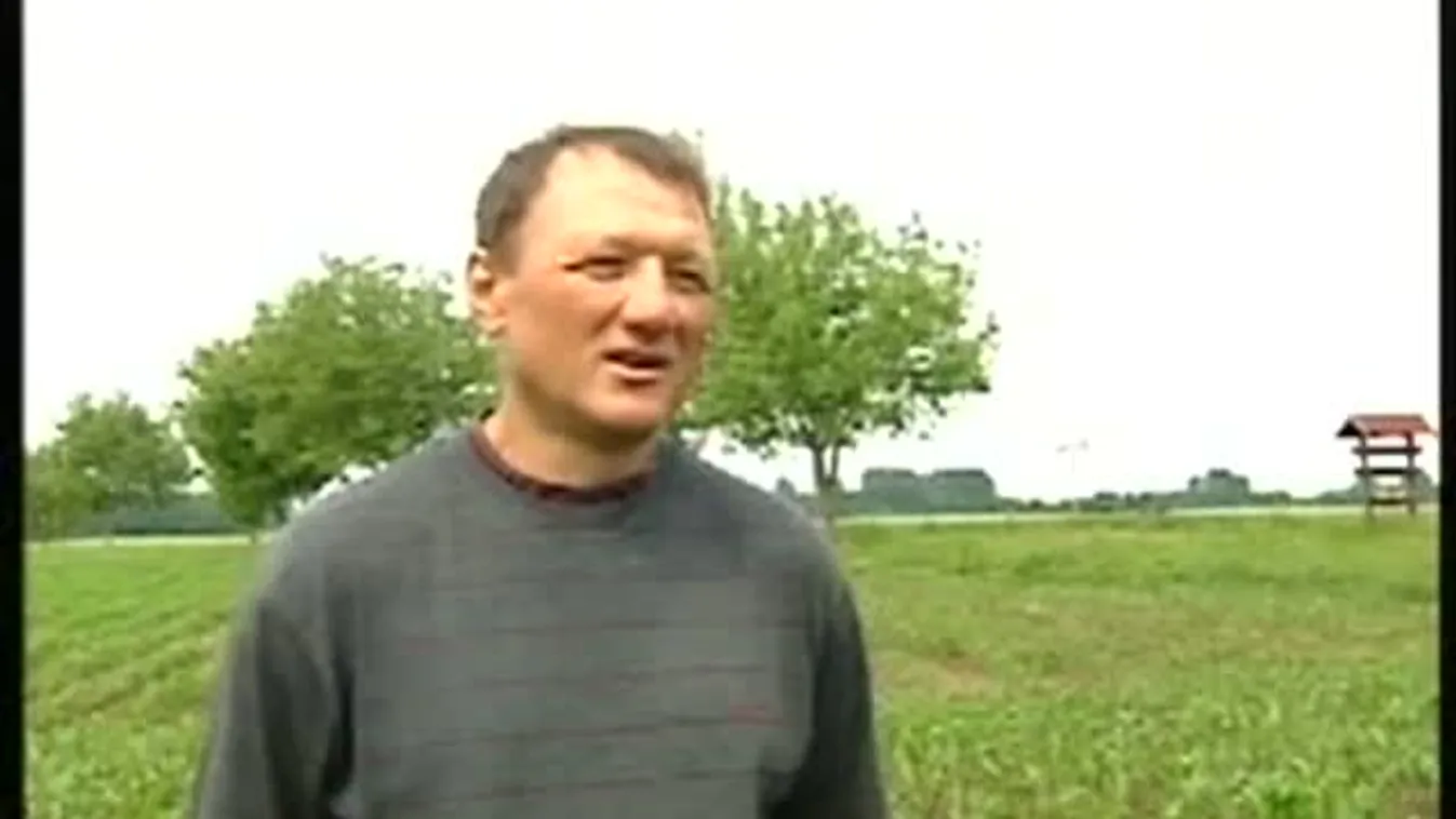 Tyúklépés – Keresztmetszet