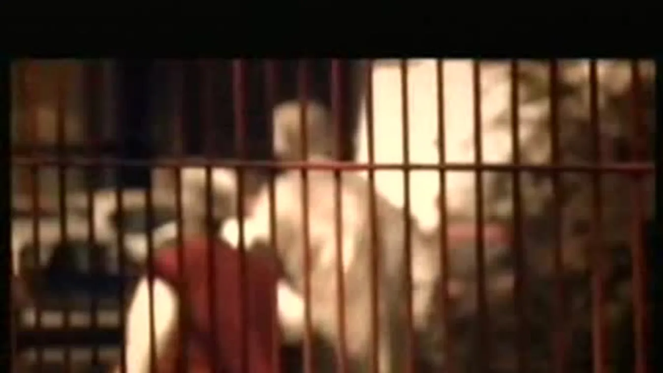 „Hullagyár” – Rájátszás