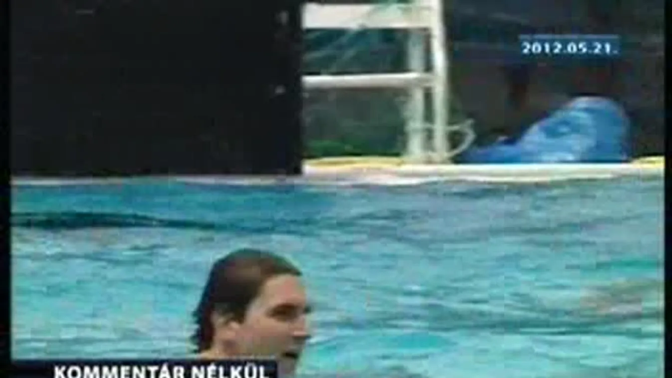 Az olimpiára készül a címvédő válogatott