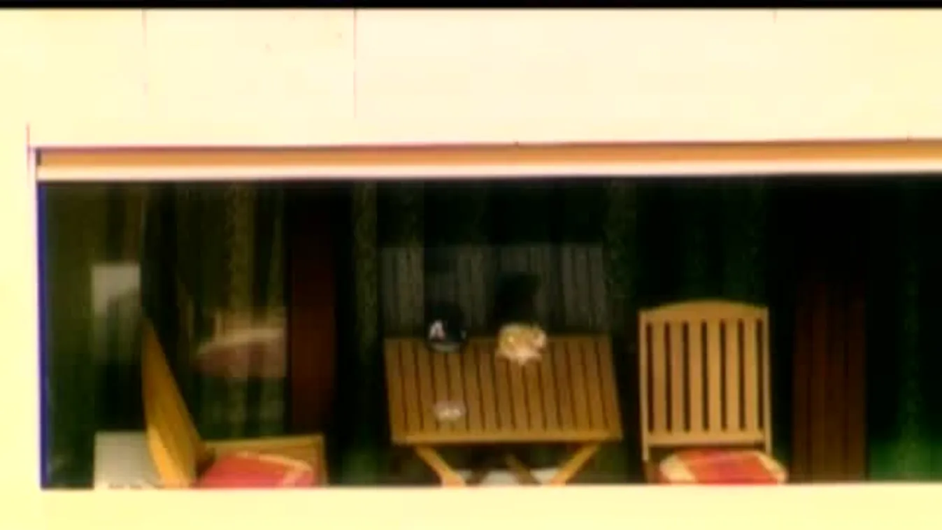 Borváros – Ingatlanpiac