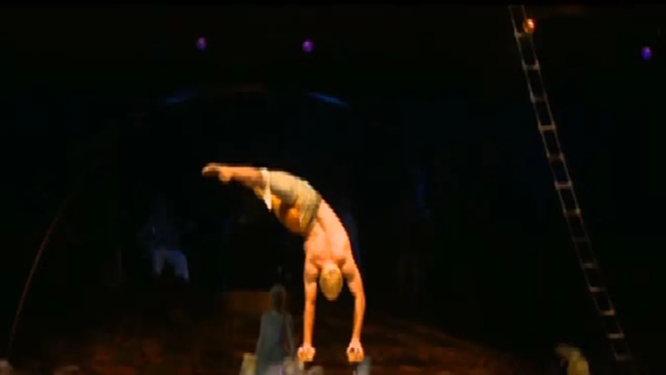 Látni kell az Alegríát