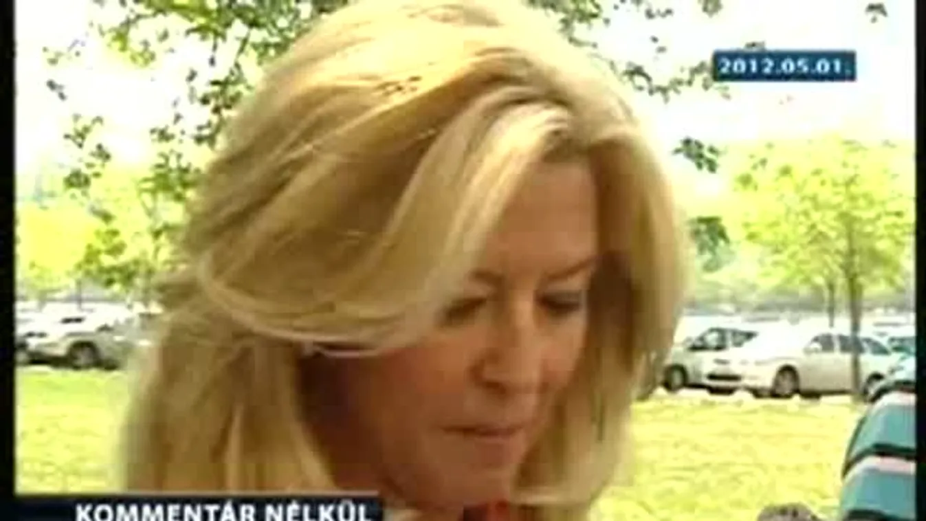 Gyurcsány „szorult helyzetben van és ijedtébe vagdalkozik”