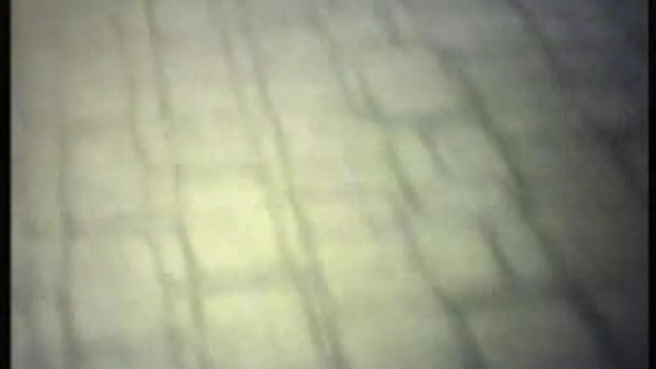 Diákmunka – Panaszkönyv