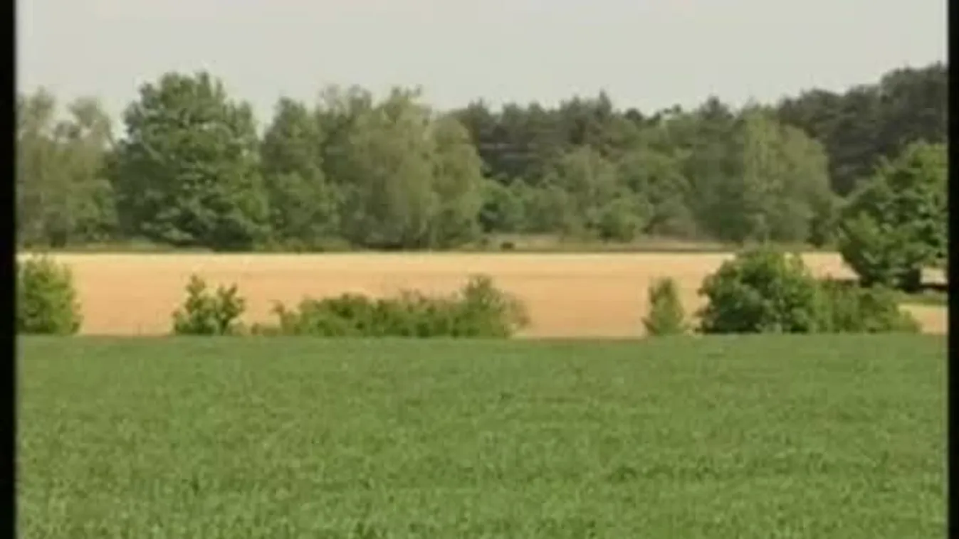 Központban a túróból készült termékek – Soroló