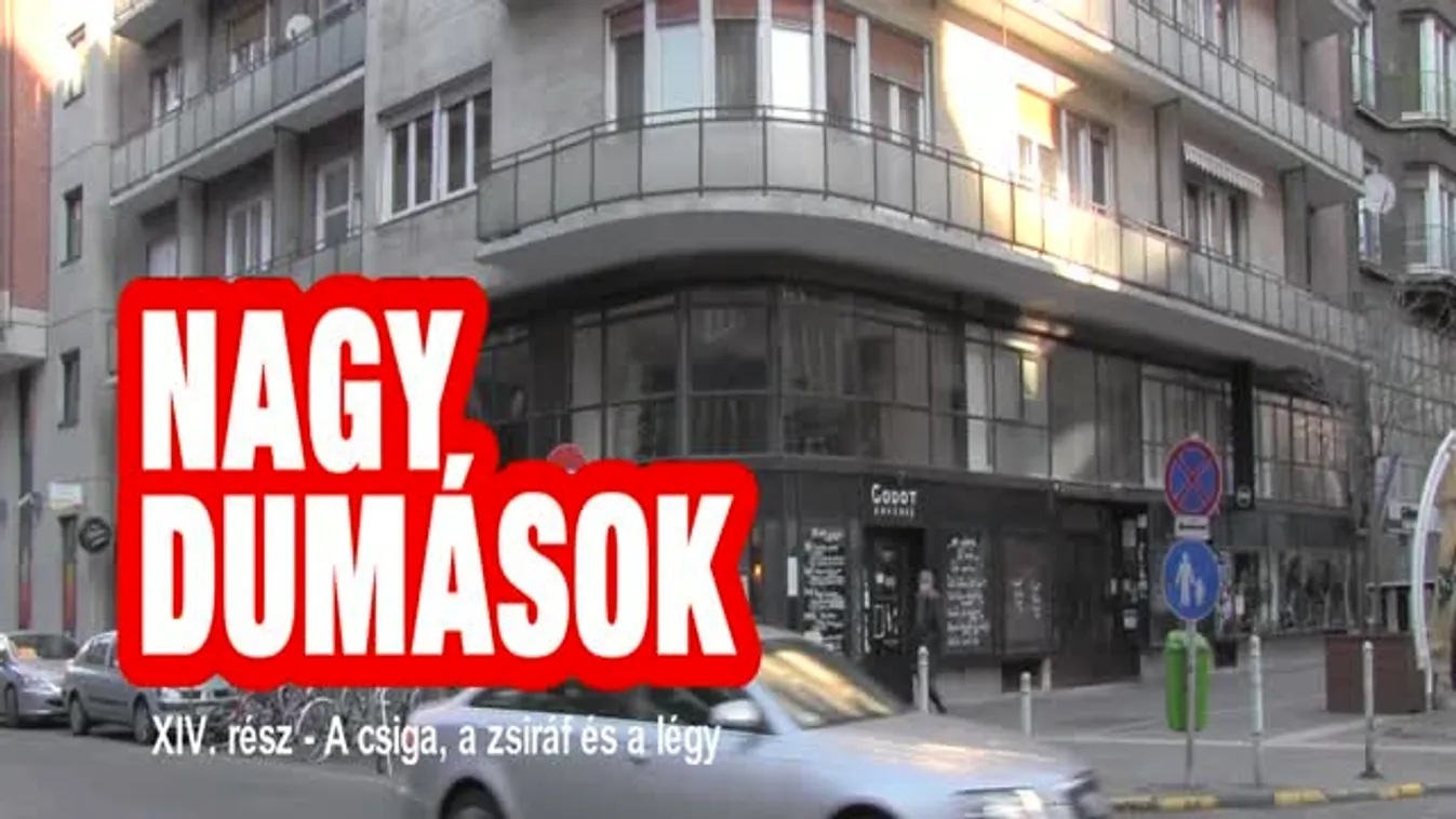 Benk Dénes kígyója mindig alszik