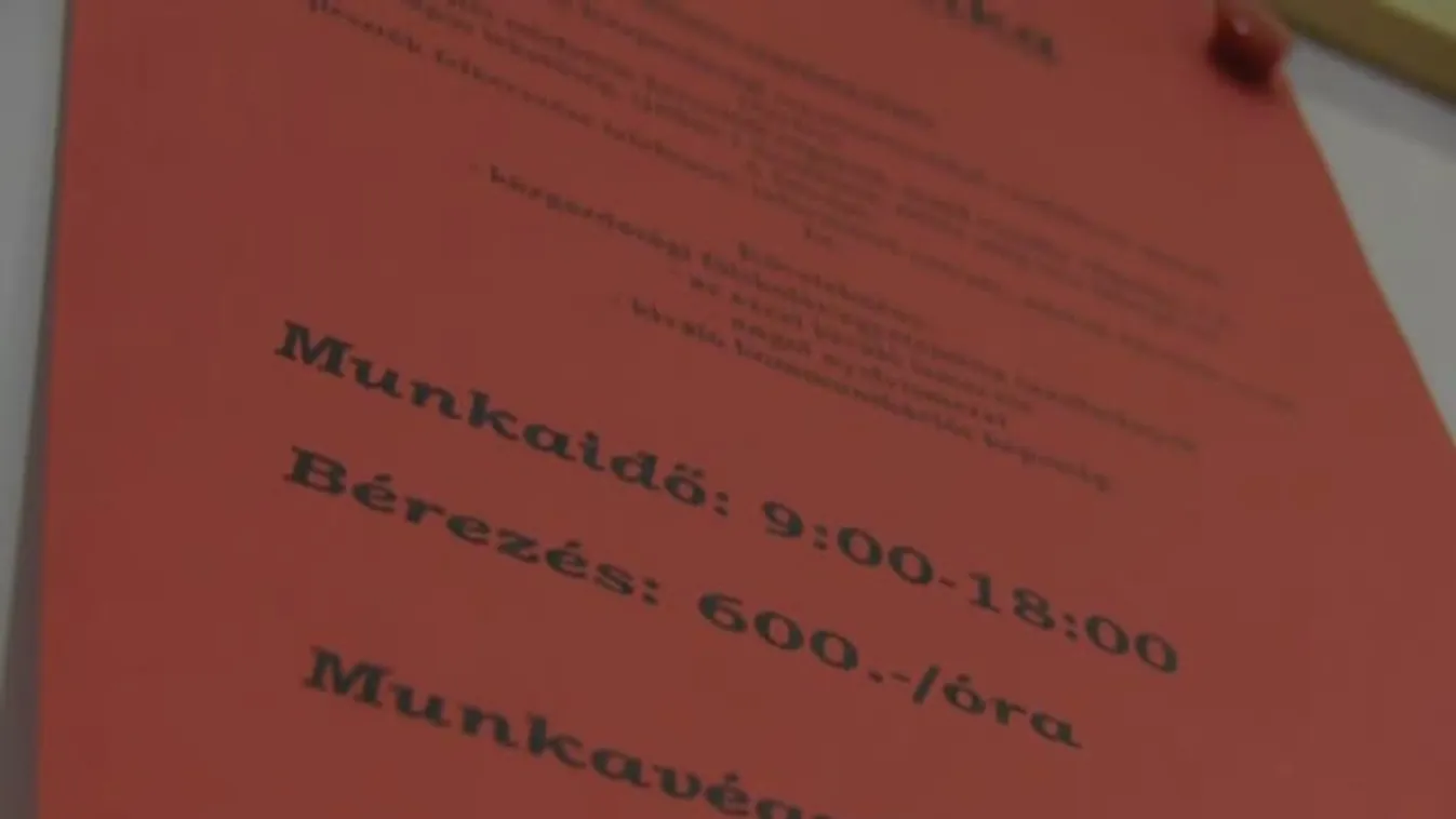 Válság idején több a diákmunkás