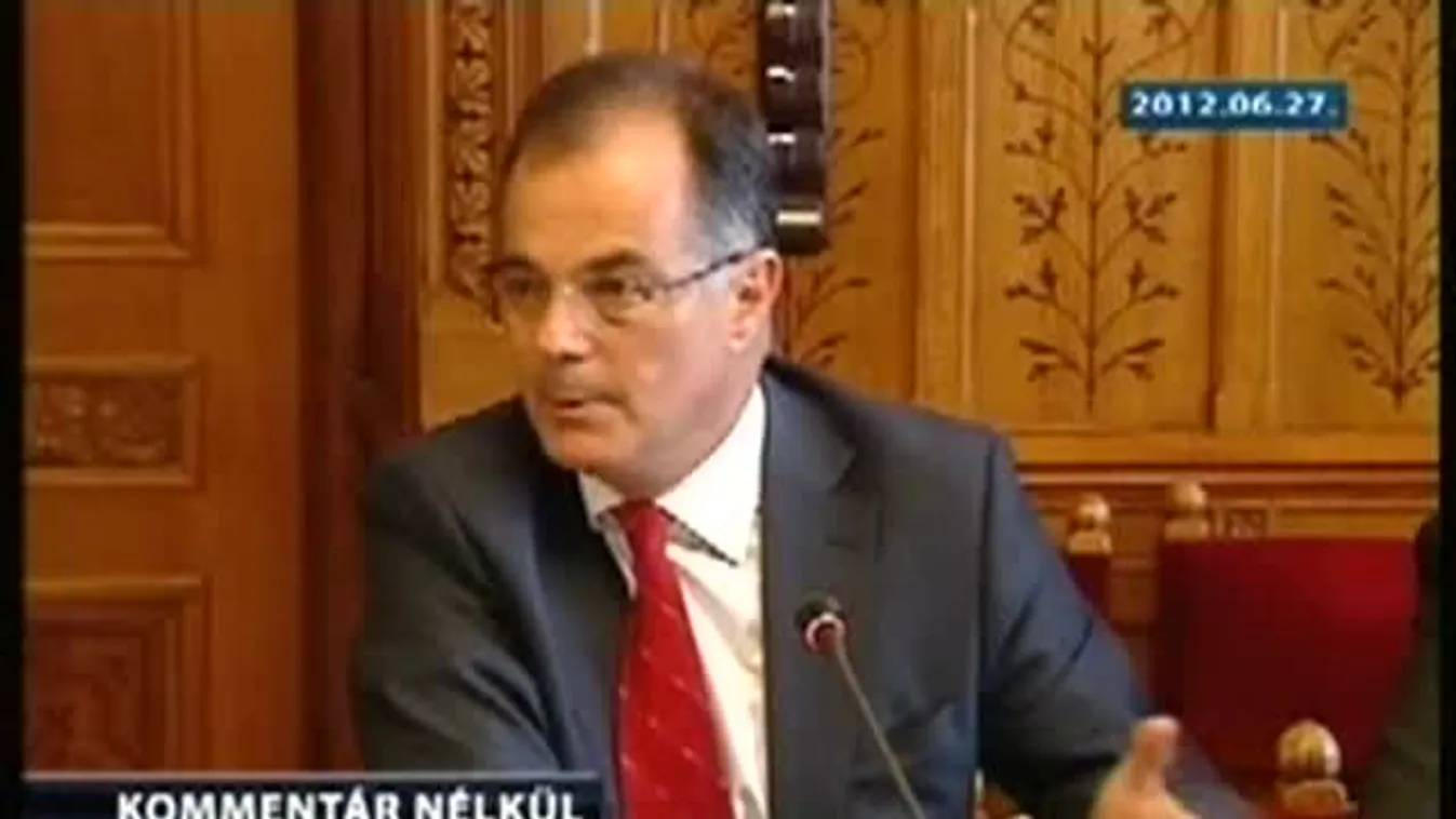 Simor András a Malév privatizációjáról