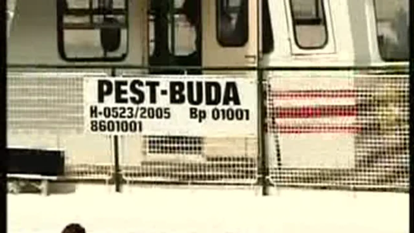 Júliusban már BKV-bérlettel hajózhatunk