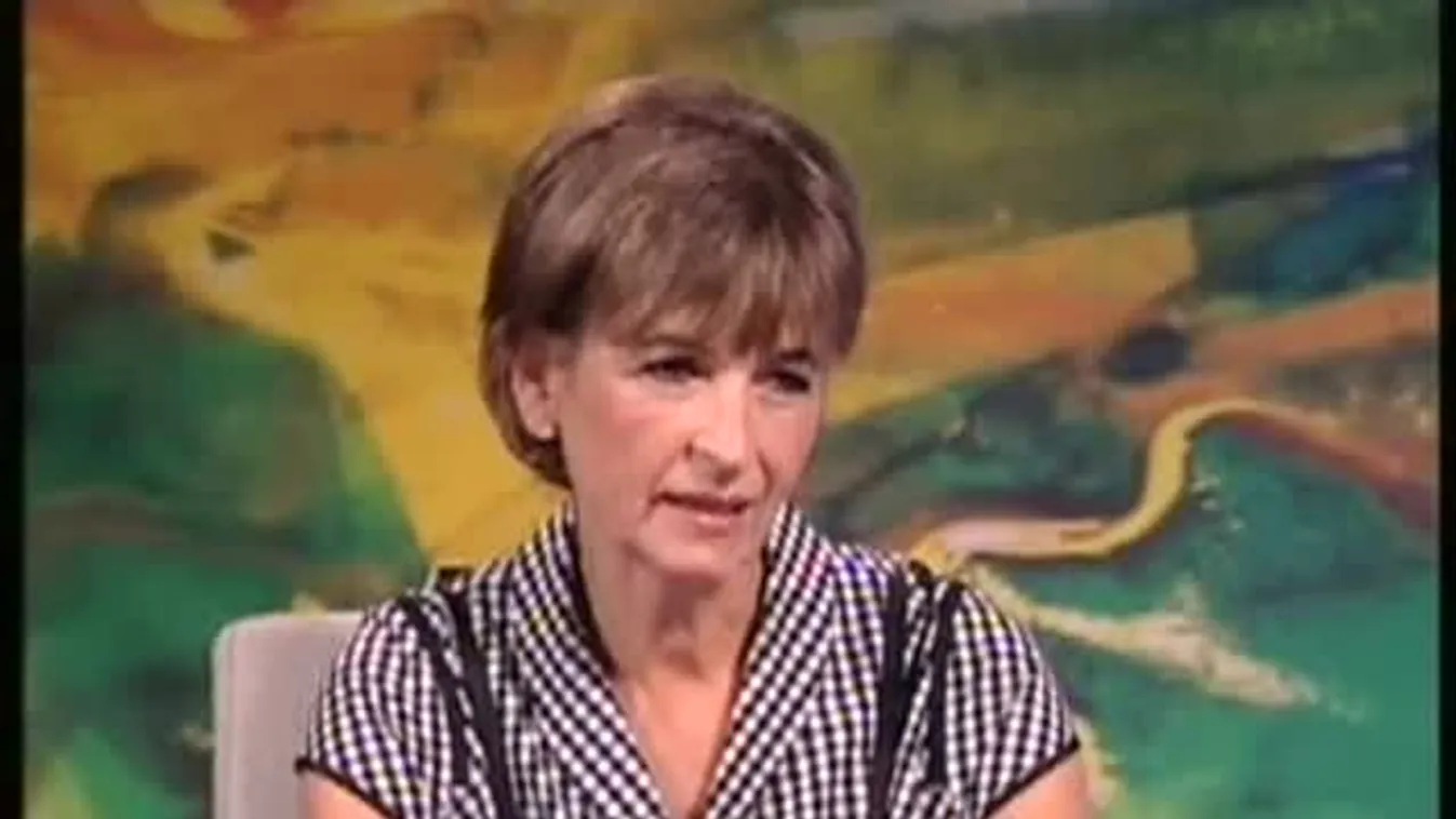 Bodies 2 kiállítás – Paletta