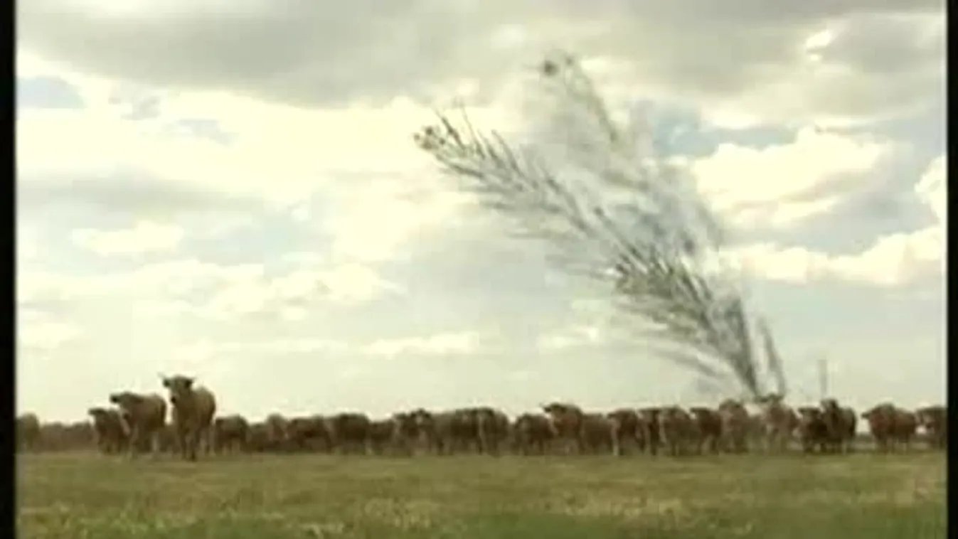 Borteraszt avattak – Soroló