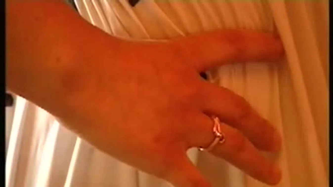 Kivándorlási hullám – Keresztmetszet