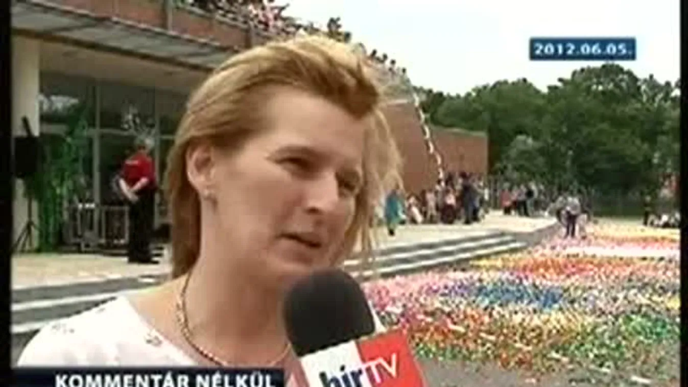 Óriási tájkép 1 millió kupakból