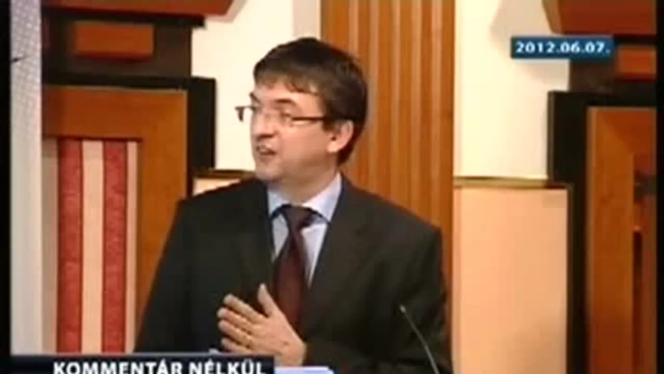 Domonkos László a 2012-es költségvetés teljesüléséről