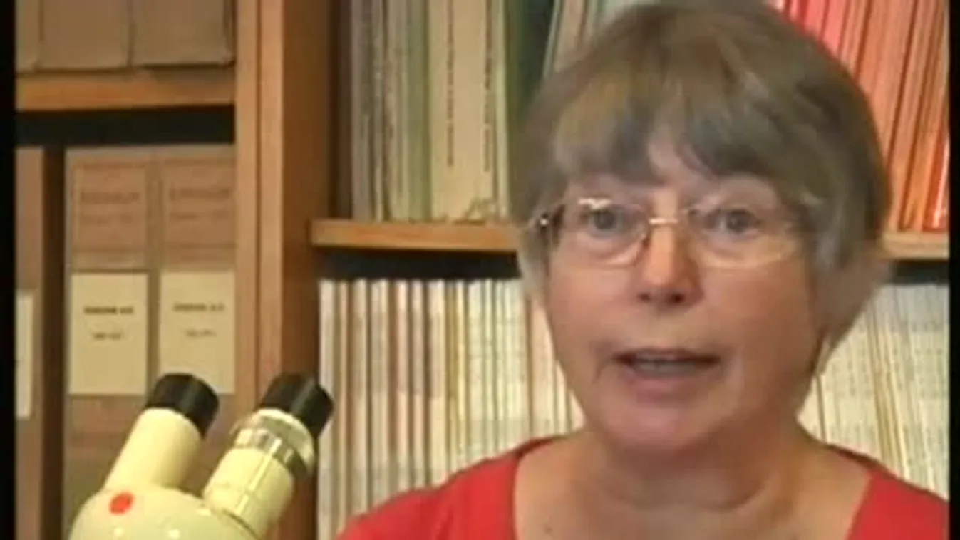 Szerelmesek vára – Felfedező