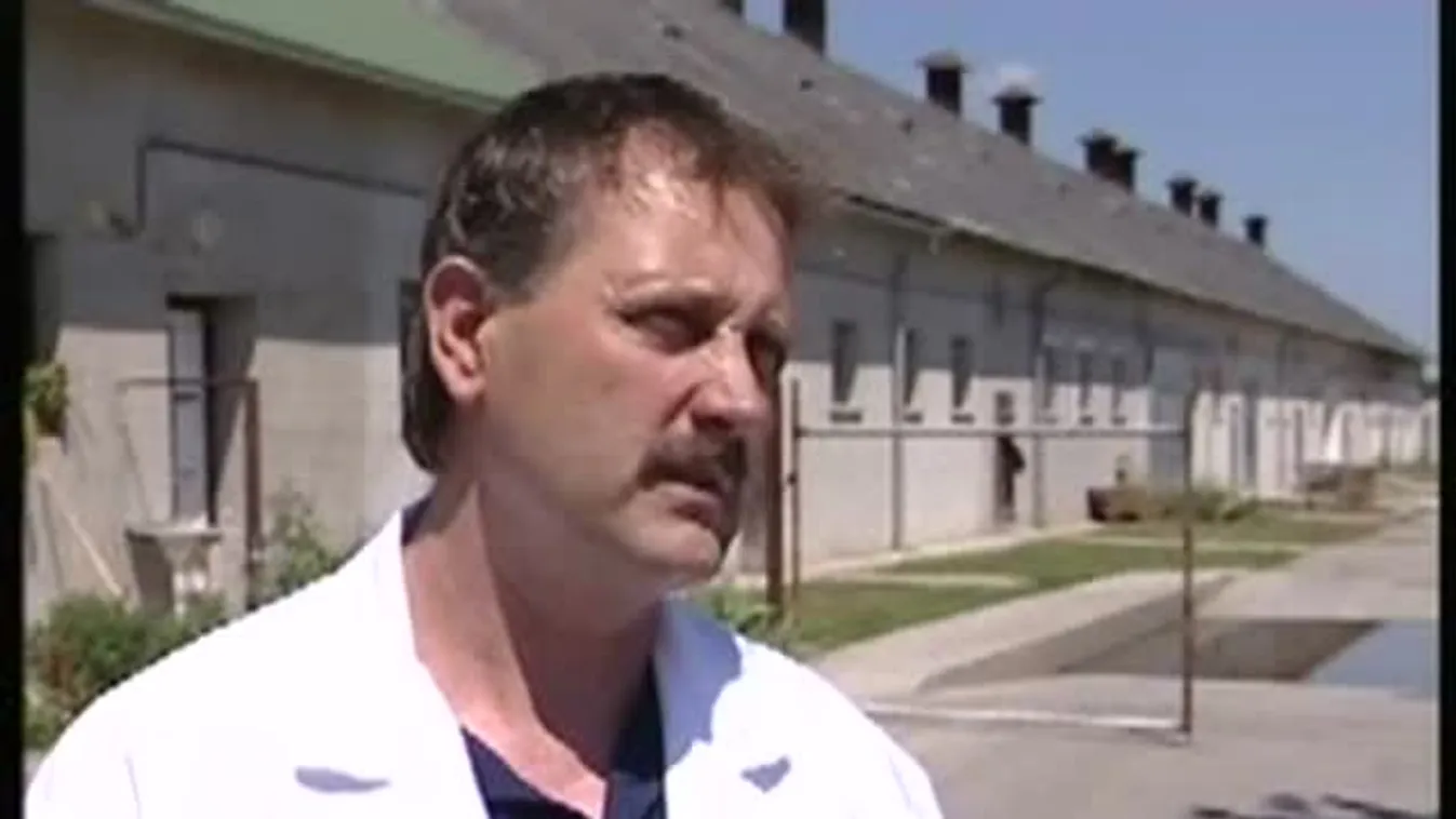 Csak magyar dinnyét árulnak – Soroló