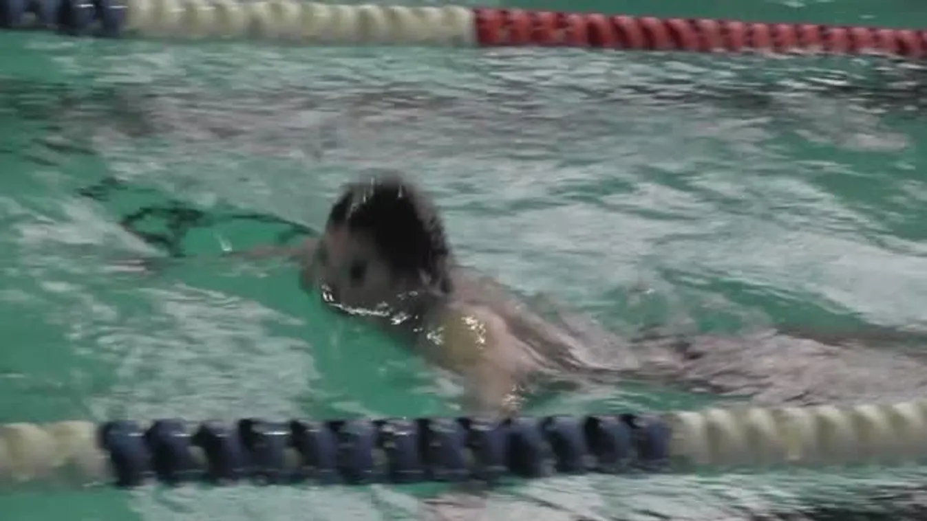 Gyurta Dani három kívánsága