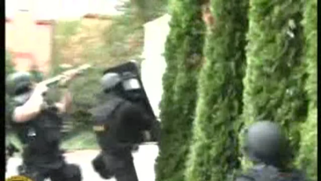 V. László súgott Portiknak?