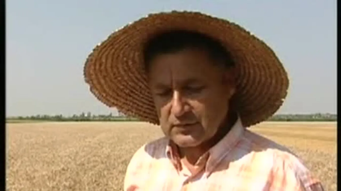 A mennyiség elmarad – Soroló