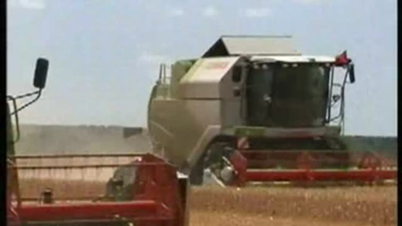 10 százalékkal drágulhat a kenyér