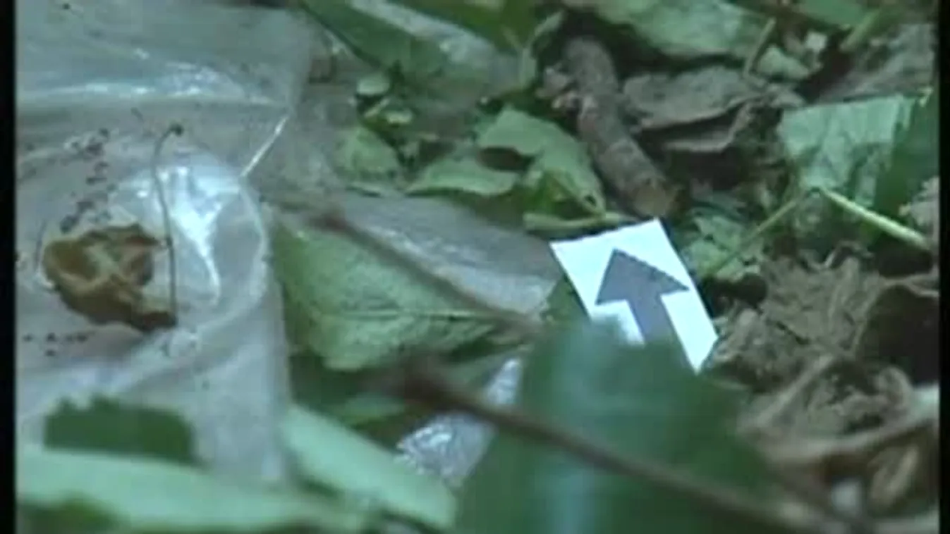 Hazarendelték Pécsre az összes baranyai rendőrt – bejelentkezés 18 óra