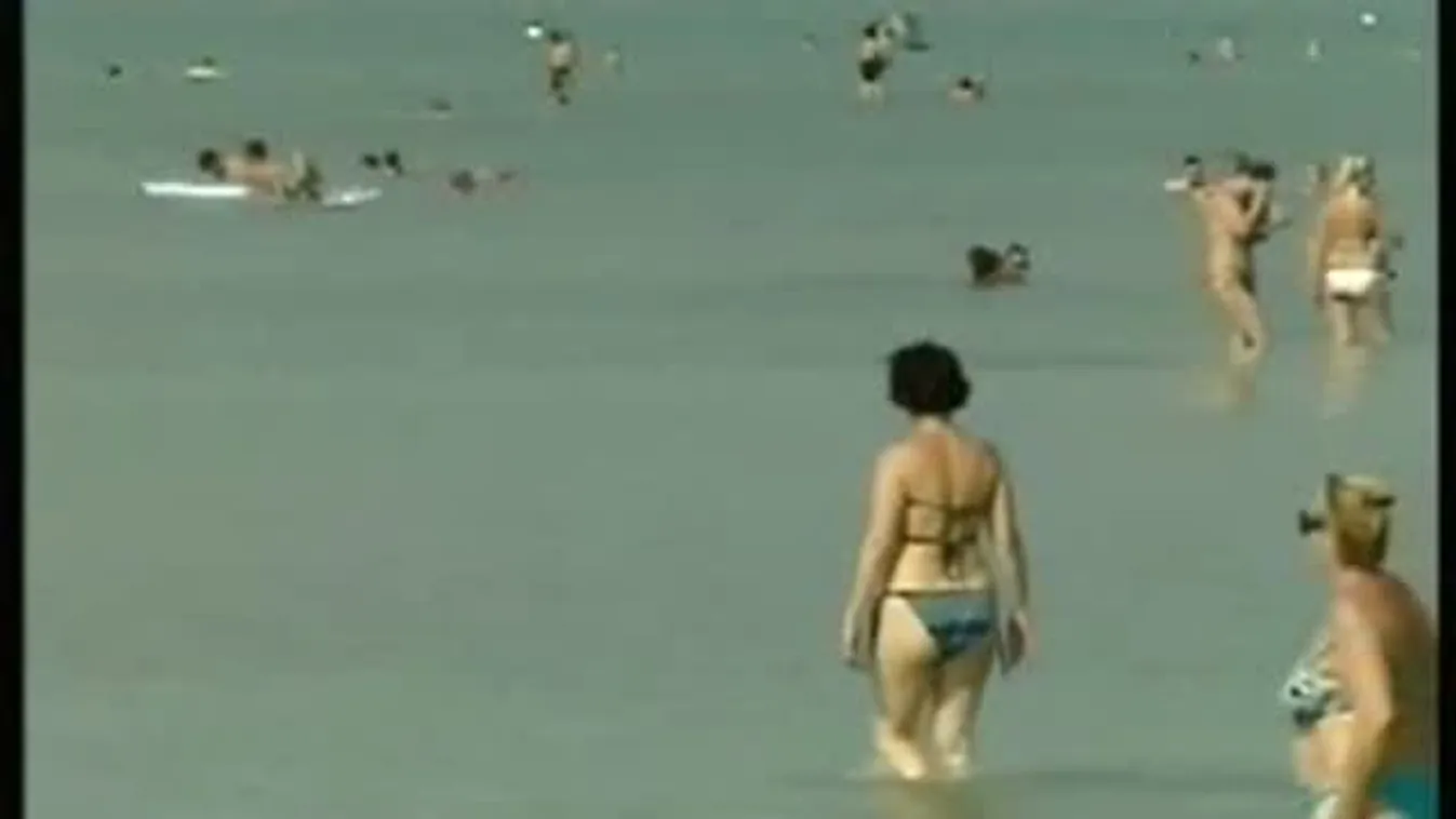 A kánikula elől a tavakhoz menekülnek