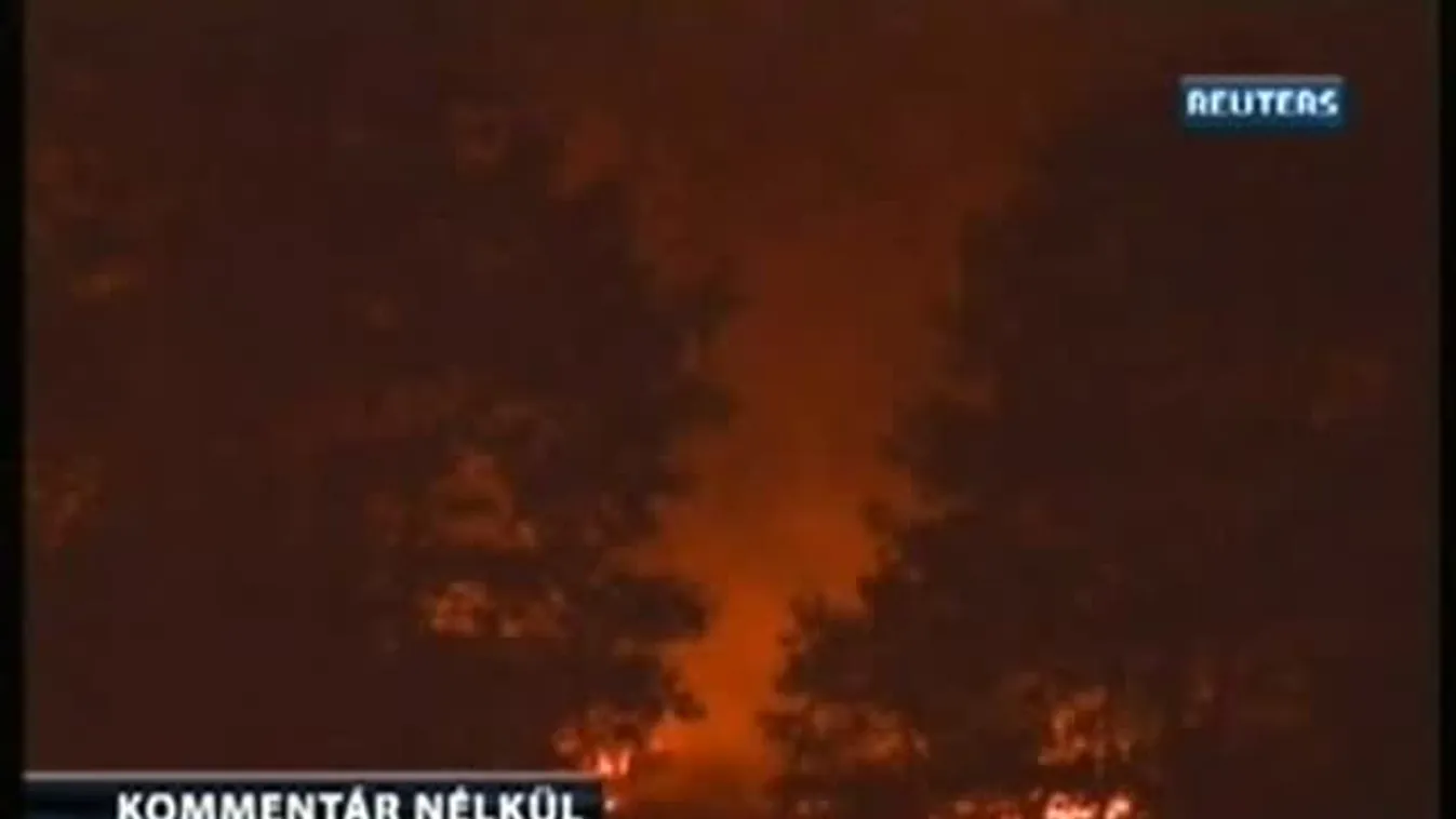 Erdőtűz Szerbiában