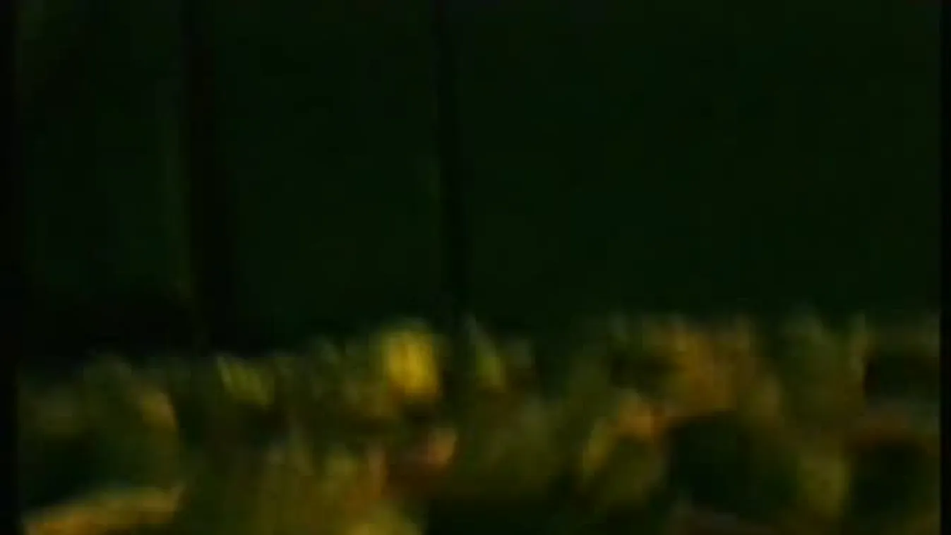 Lecsaptak a rendőrök a nagybanin