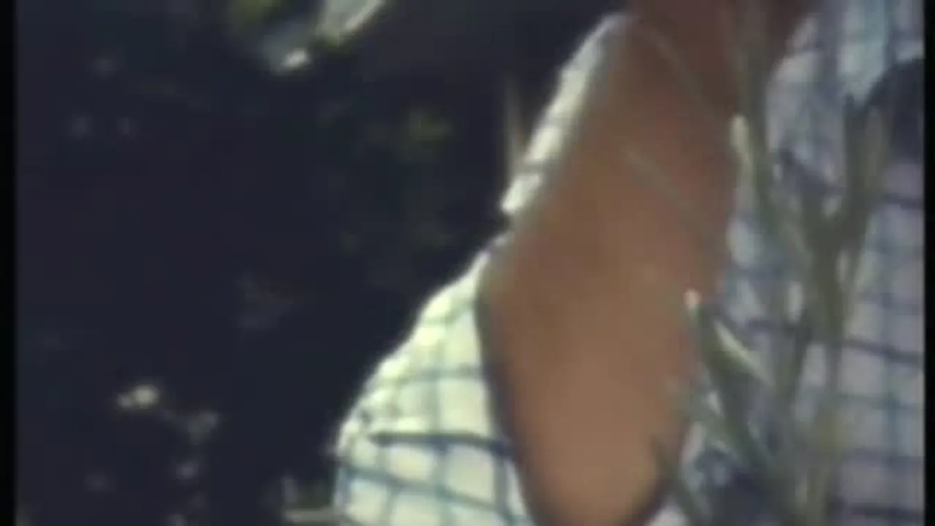 Romkocsmák – Panaszkönyv