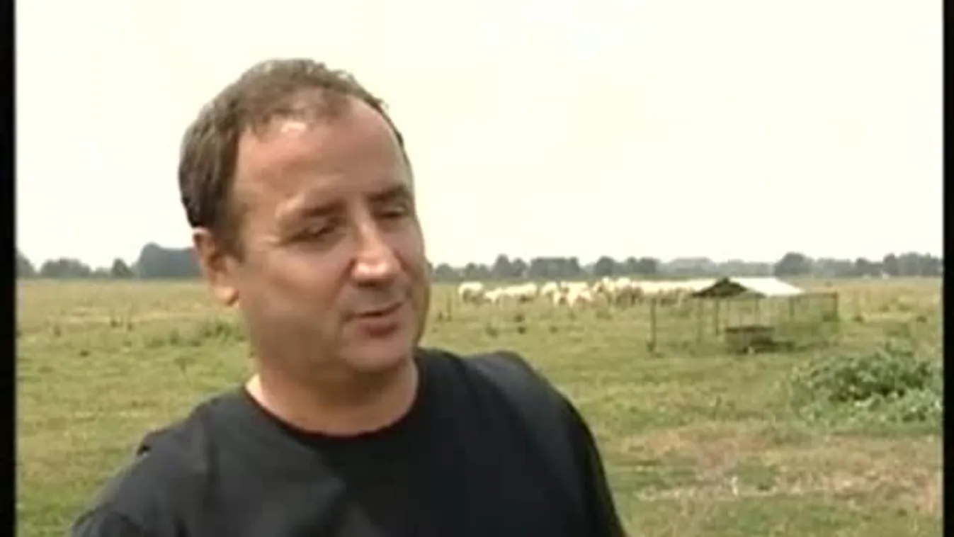 A kanadai sarolé - Soroló