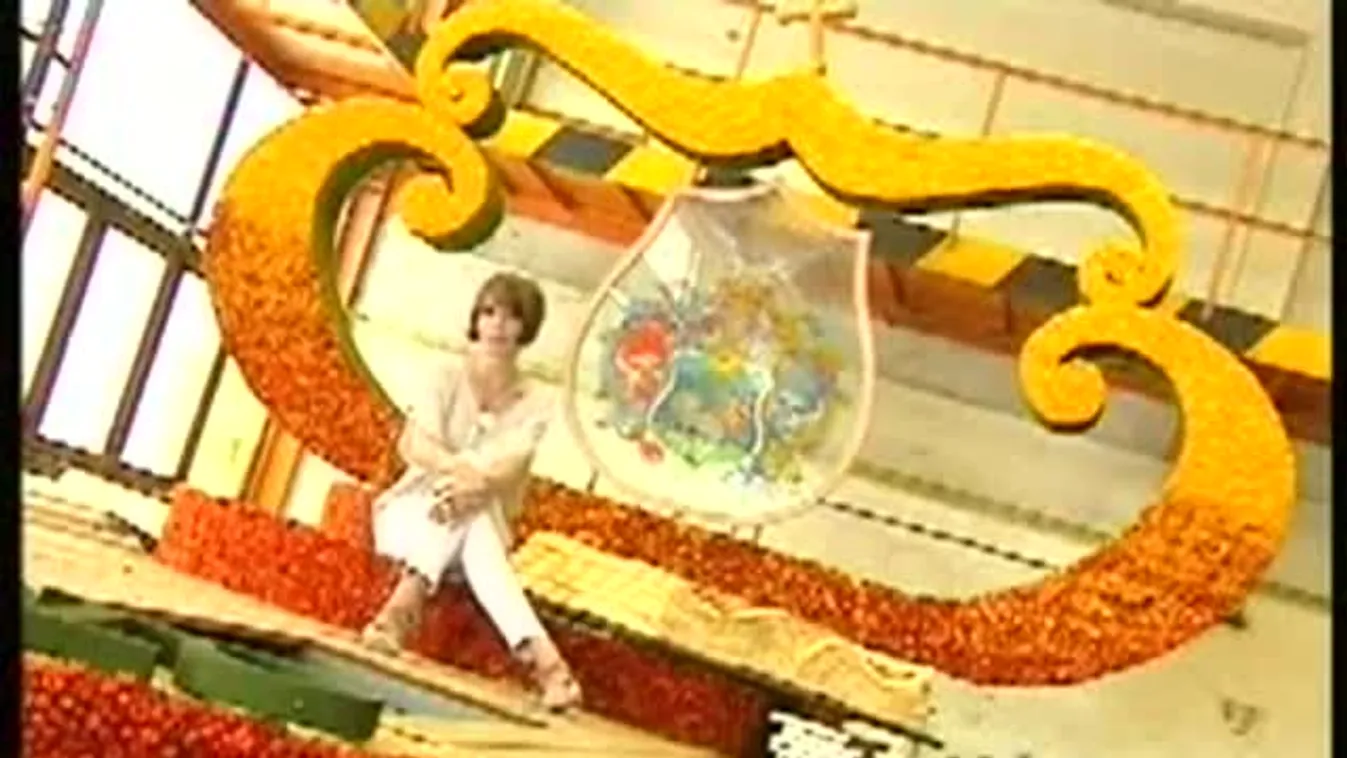 Névelő növények - rajzoló szépírók