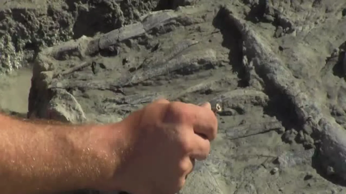 Exkluzív MNO videó: Íme a magyar dinók elveszett világa