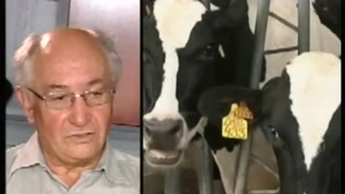 Eltankoljuk a disznók elől a kukoricát? – Bruttó