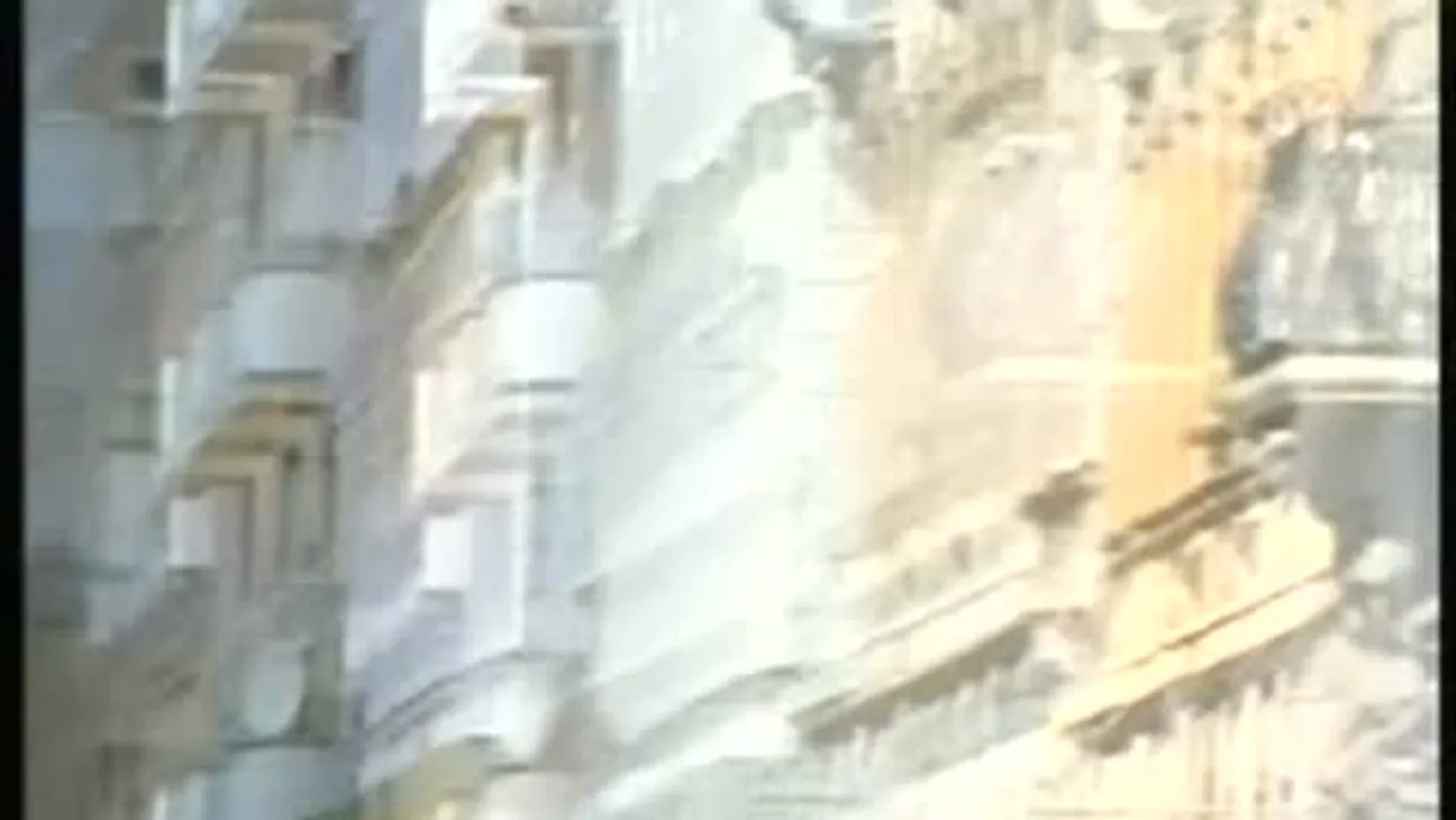 Az Aranyvessző Bt. és ami mögötte van