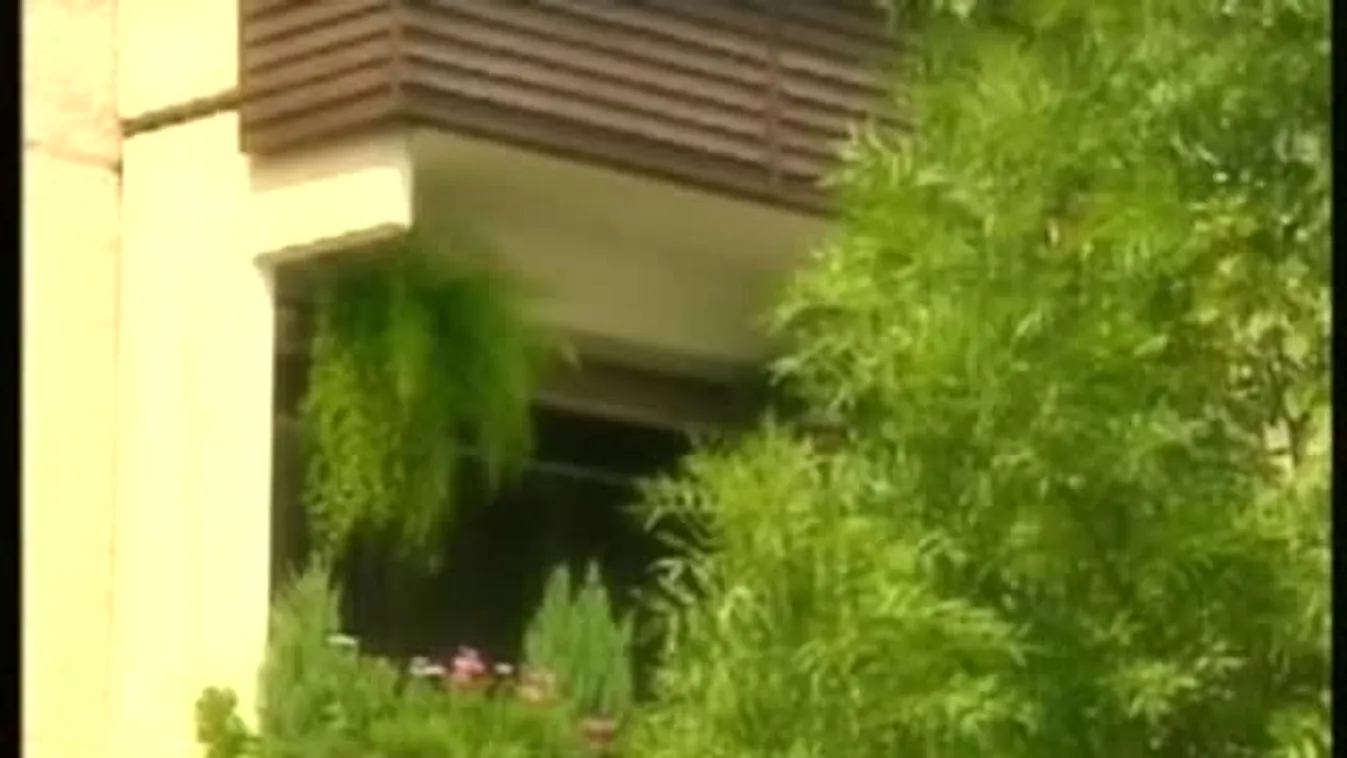 Albérlet anomáliák – Ingatlanpiac