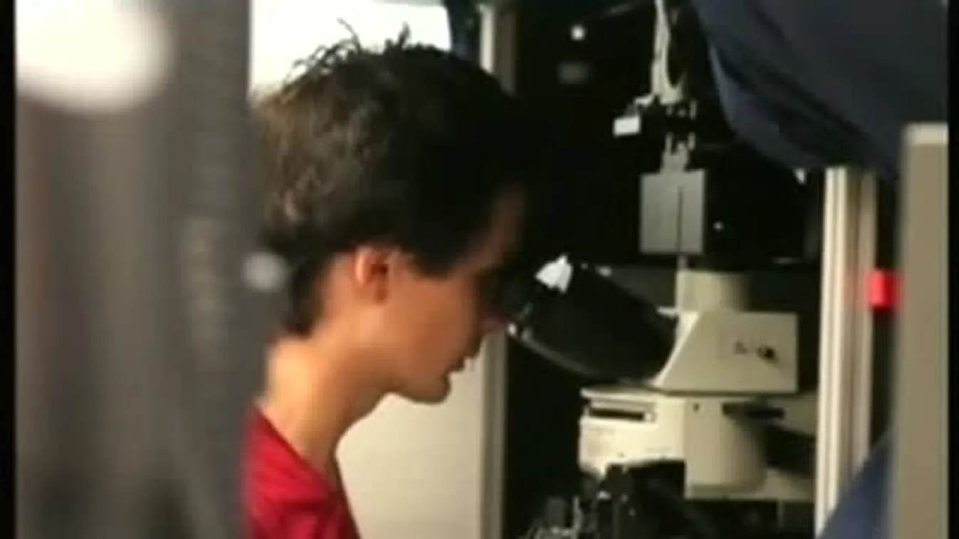 Szemfenék – Felfedező