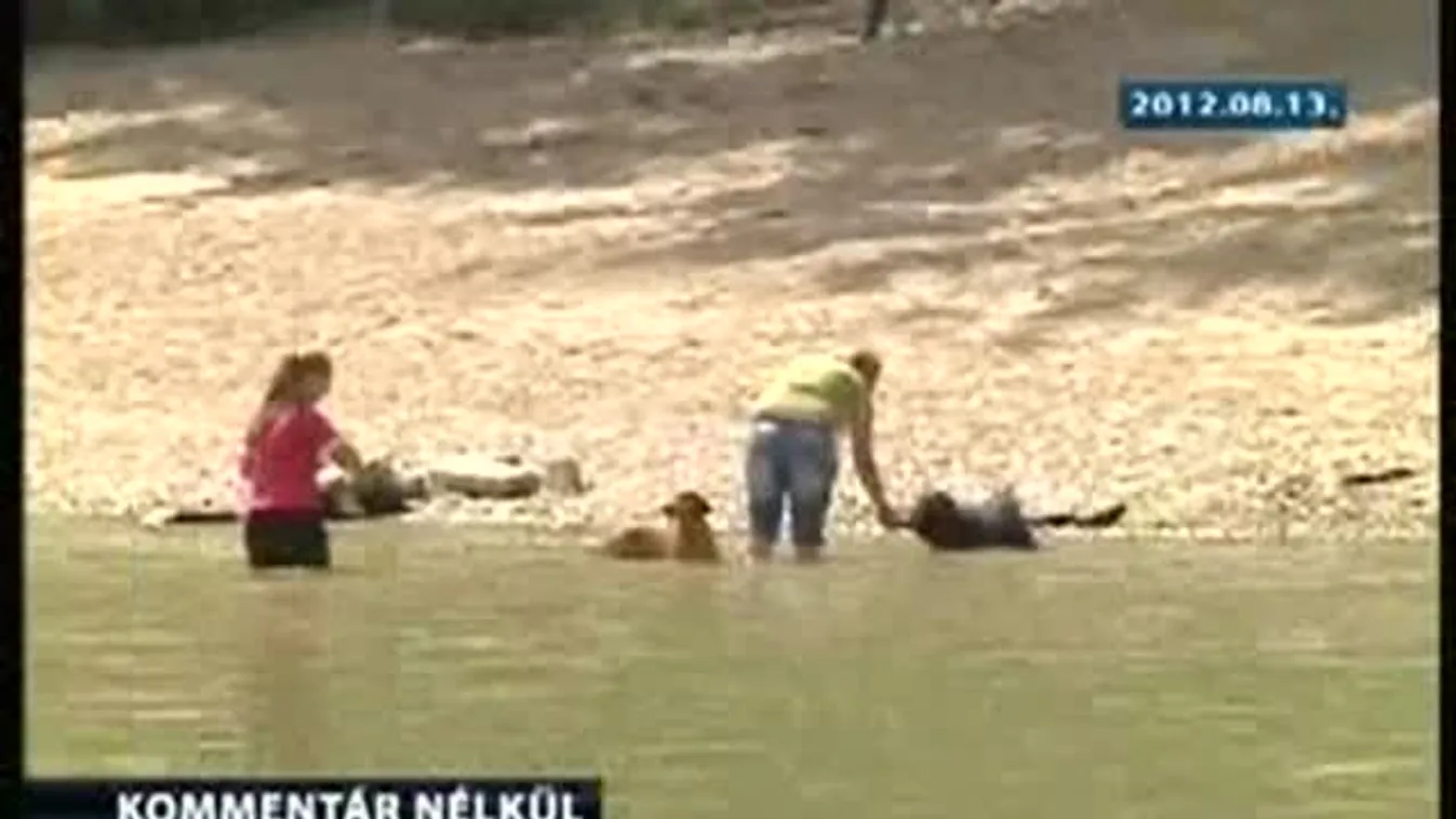 Akcióban a budapesti vízirendészet