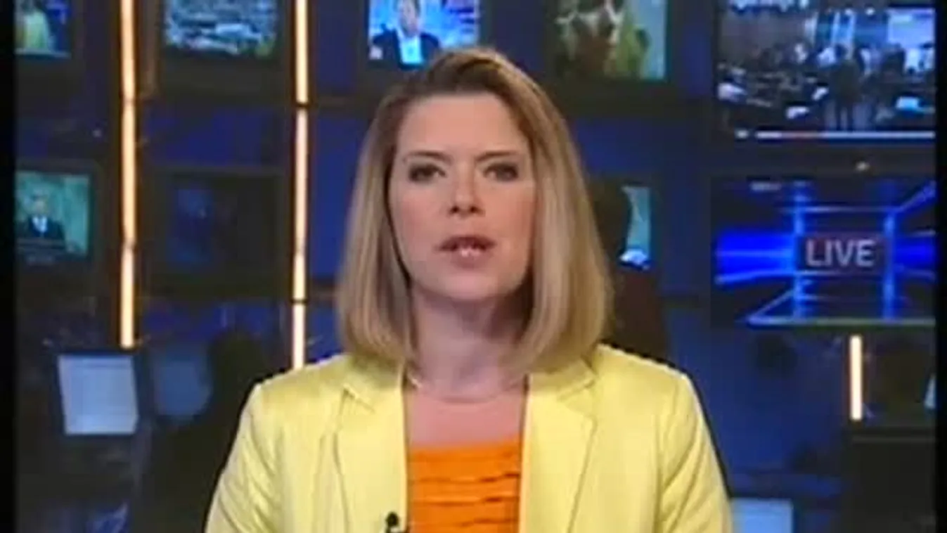 Gödöllőn bérelt lakást a domonyvölgyi gyilkos?