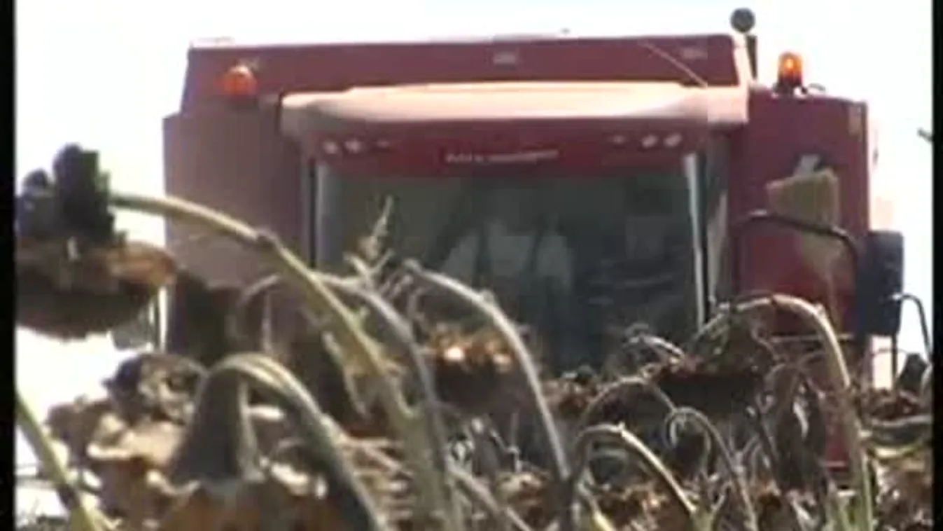 Hamarabb takarítják be – Soroló