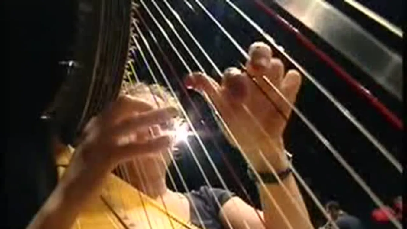 Erkel a négyzeten – 10 perc