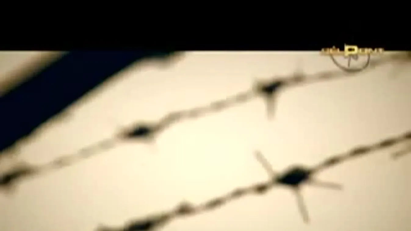 Veszett fejsze - Célpont