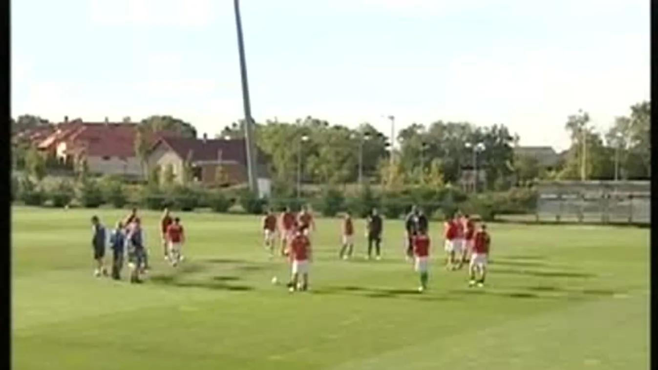 Egervári Sándor meglepetésre készül