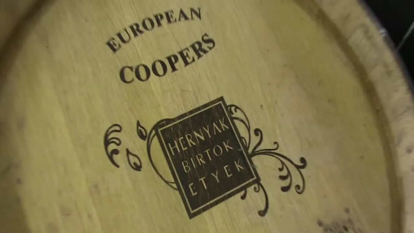 Rejlik még felfedezetlen kincs a magyar borban